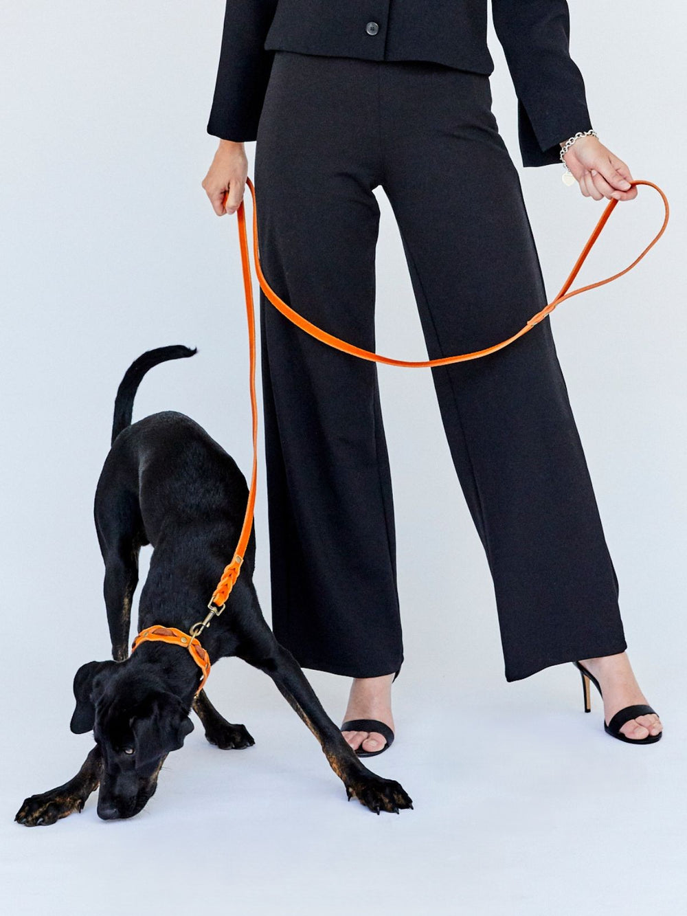 Fettlederleine mit Handschlaufe 12mm