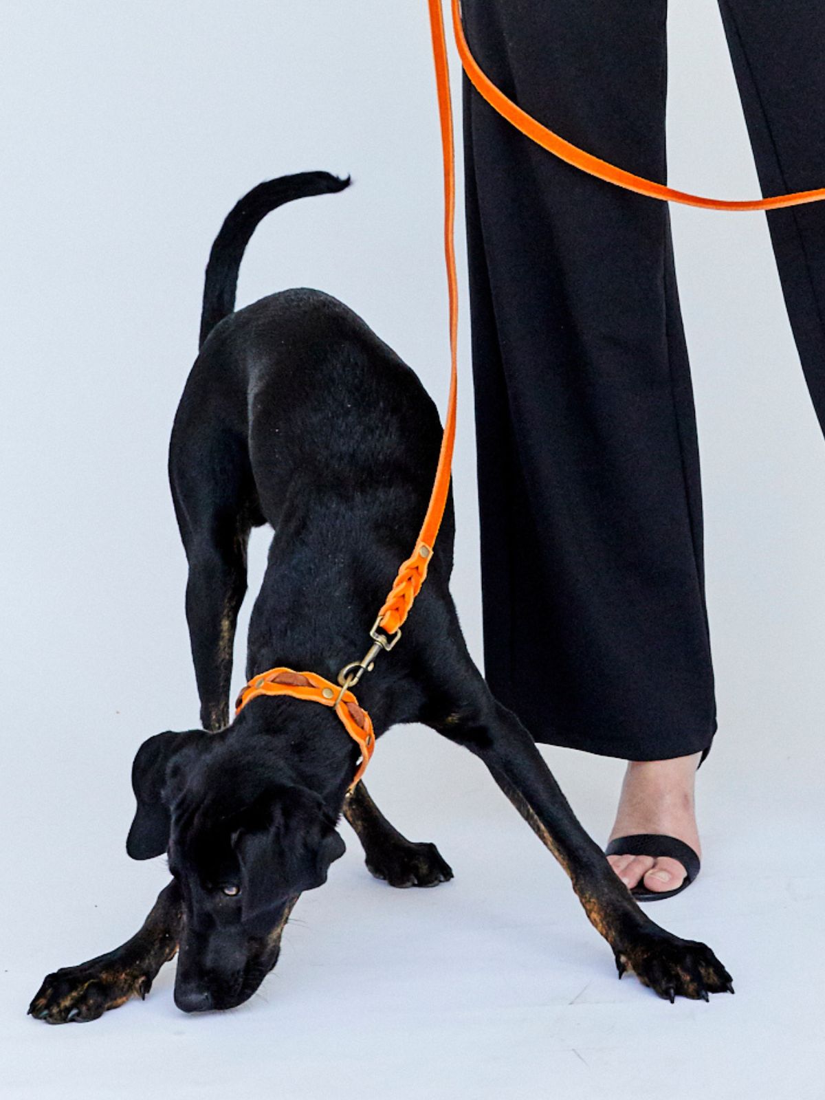 Zweifarbig geflochtenes Fettleder-Halsband