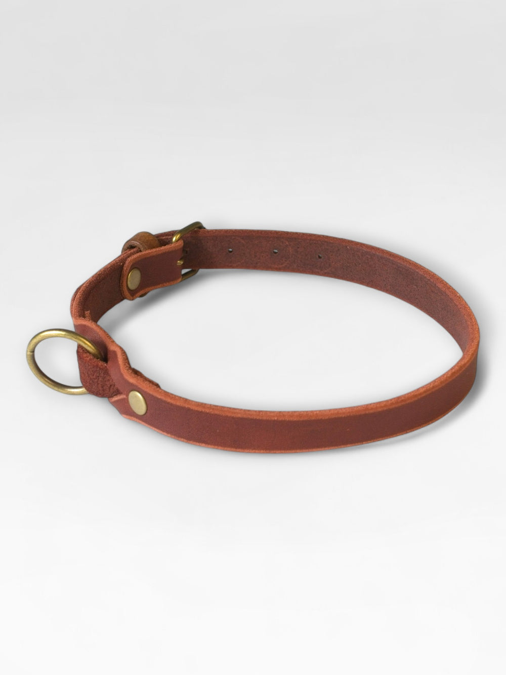 Einfaches Fettlederhalsband