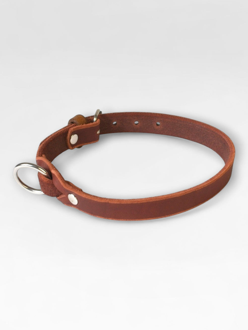 Einfaches Fettlederhalsband