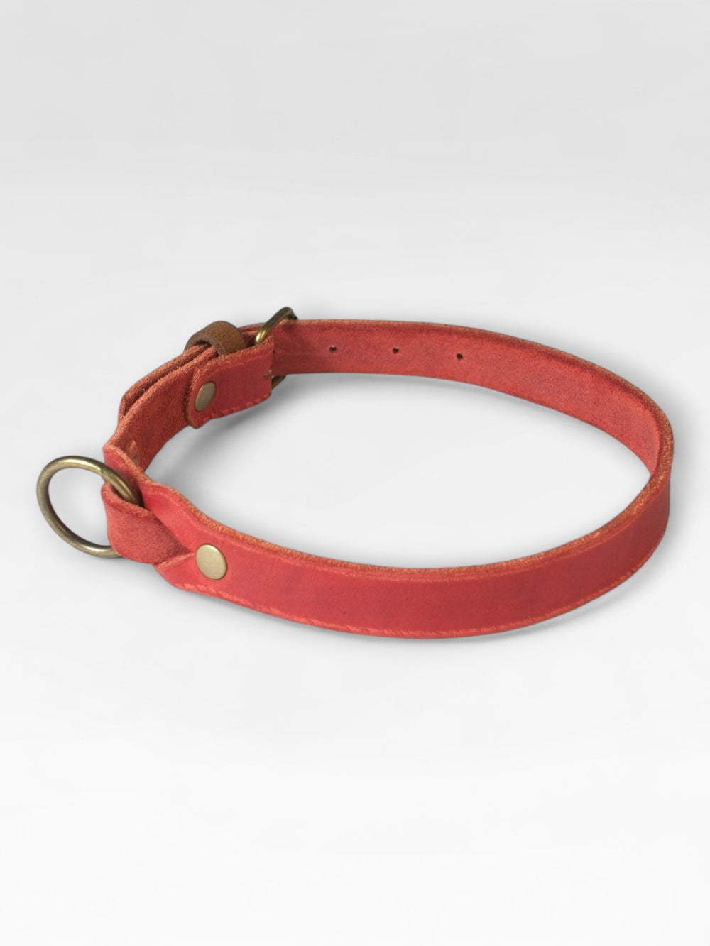 Einfaches Fettlederhalsband
