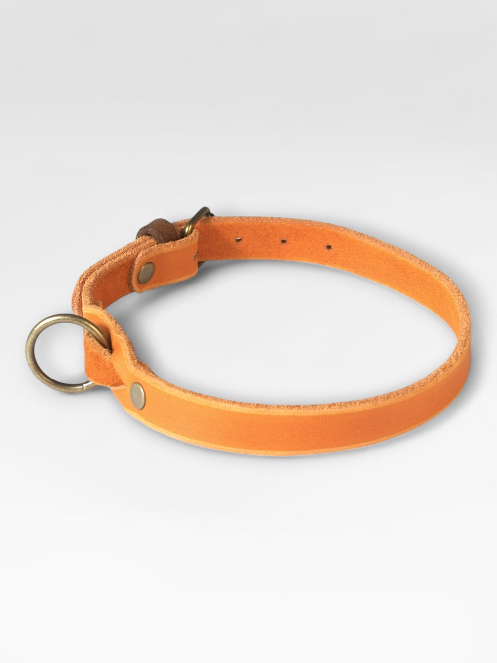Einfaches Fettlederhalsband