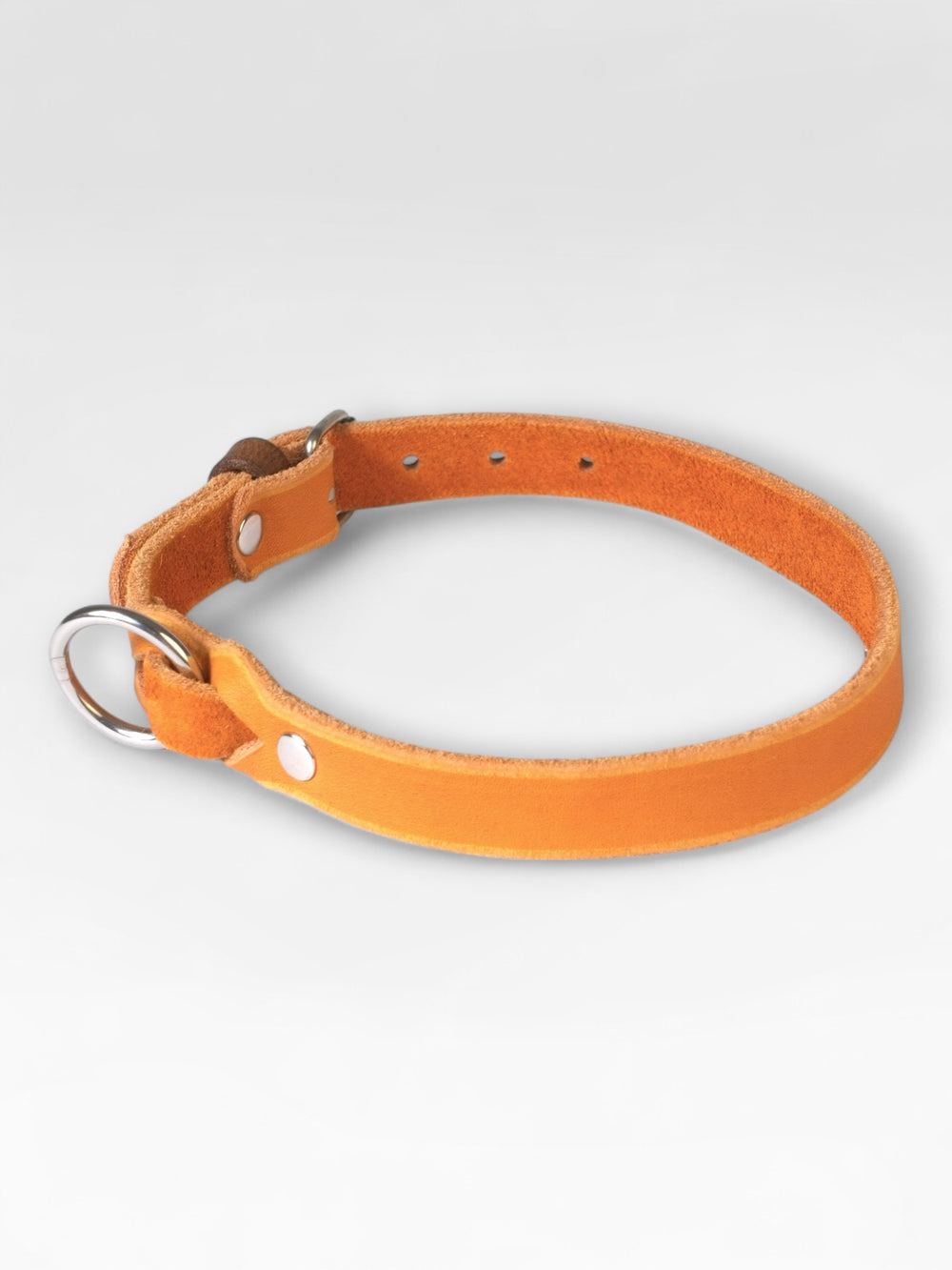 Einfaches Fettlederhalsband