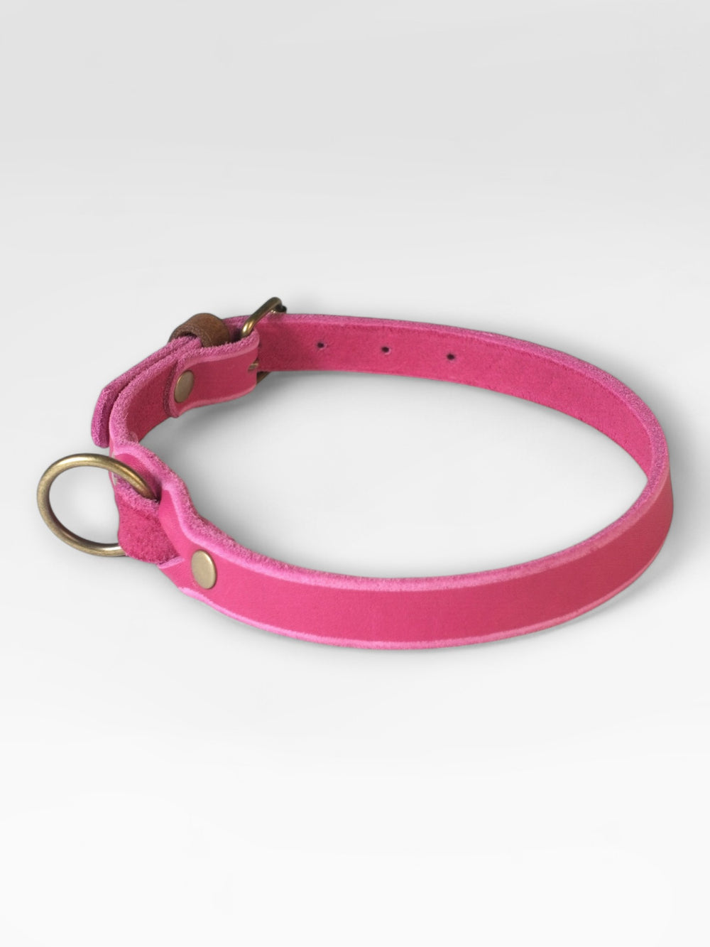 Einfaches Fettlederhalsband