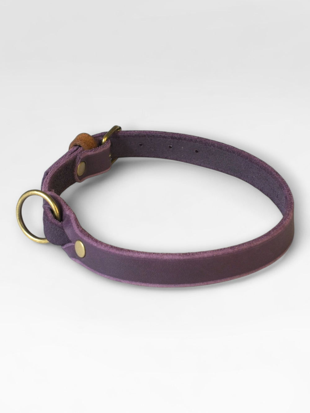 Einfaches Fettlederhalsband