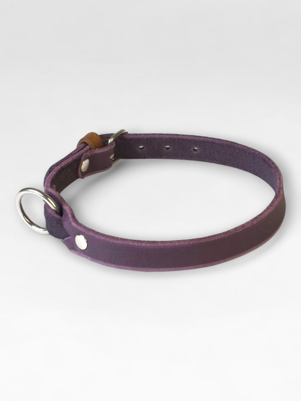 Einfaches Fettlederhalsband