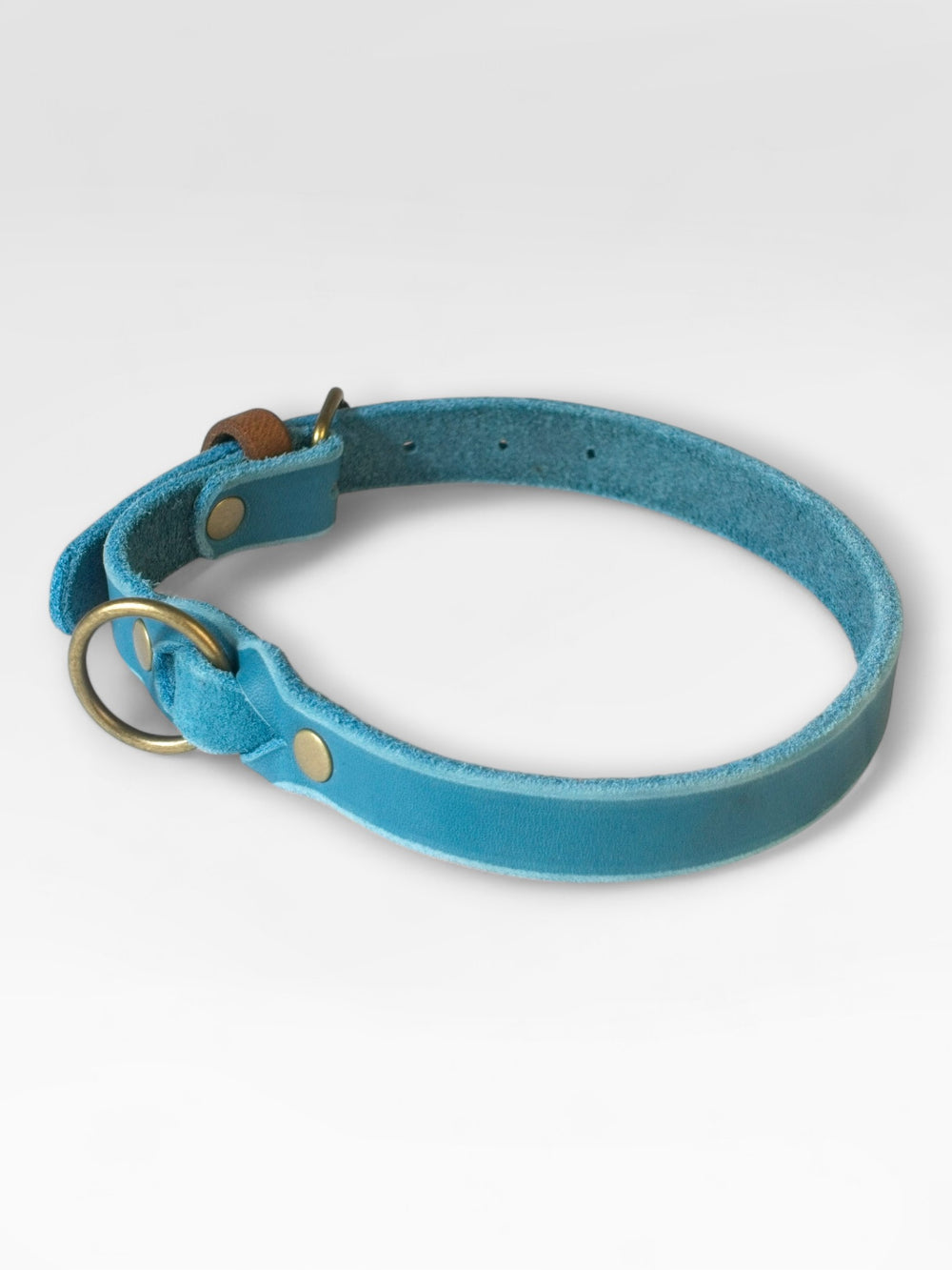 Einfaches Fettlederhalsband