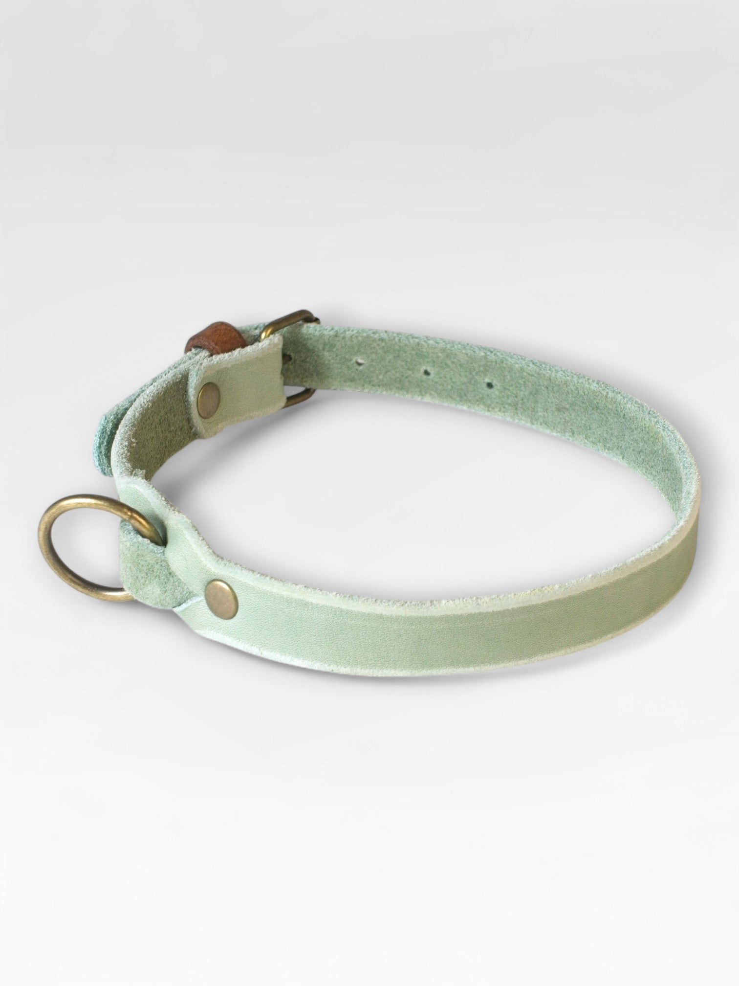 Einfaches Fettlederhalsband
