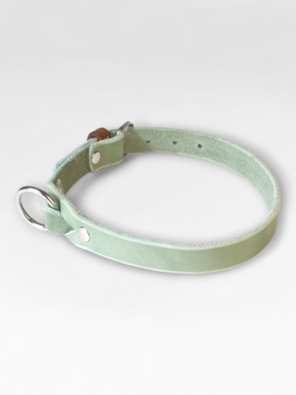Einfaches Fettlederhalsband