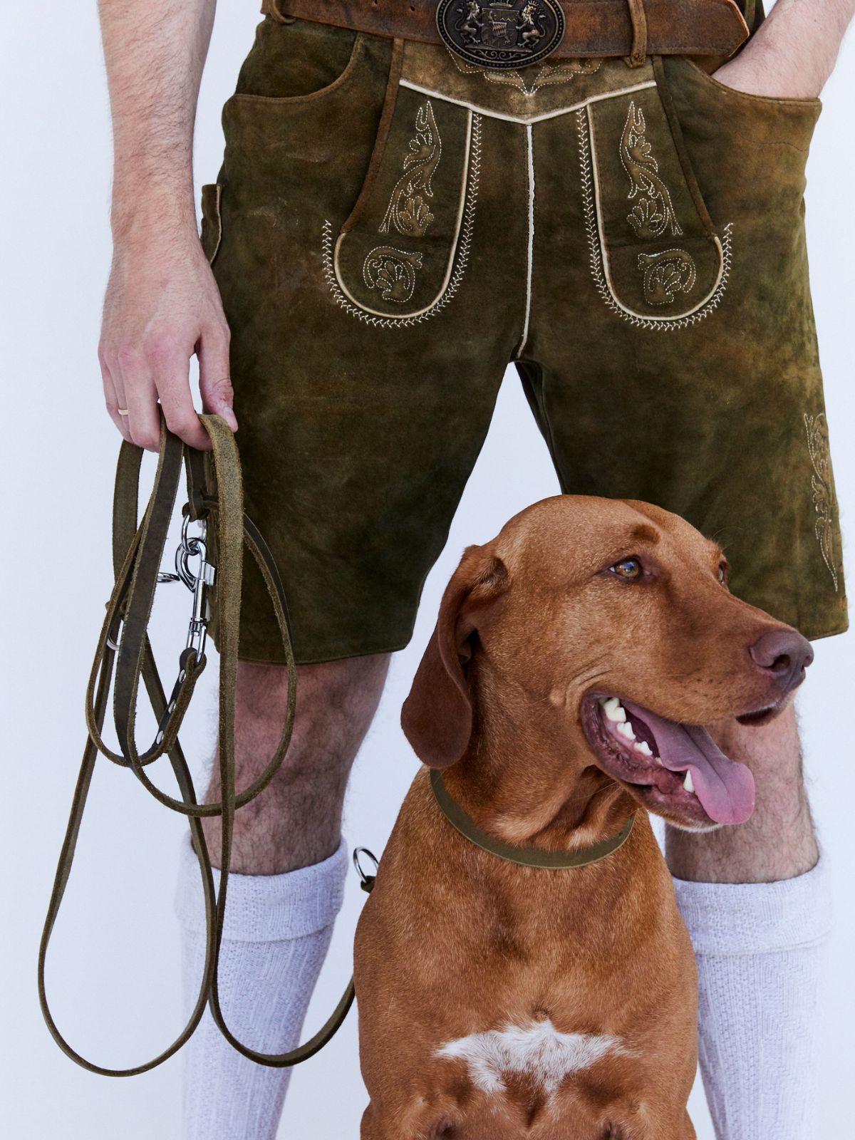 Einfaches Fettlederhalsband