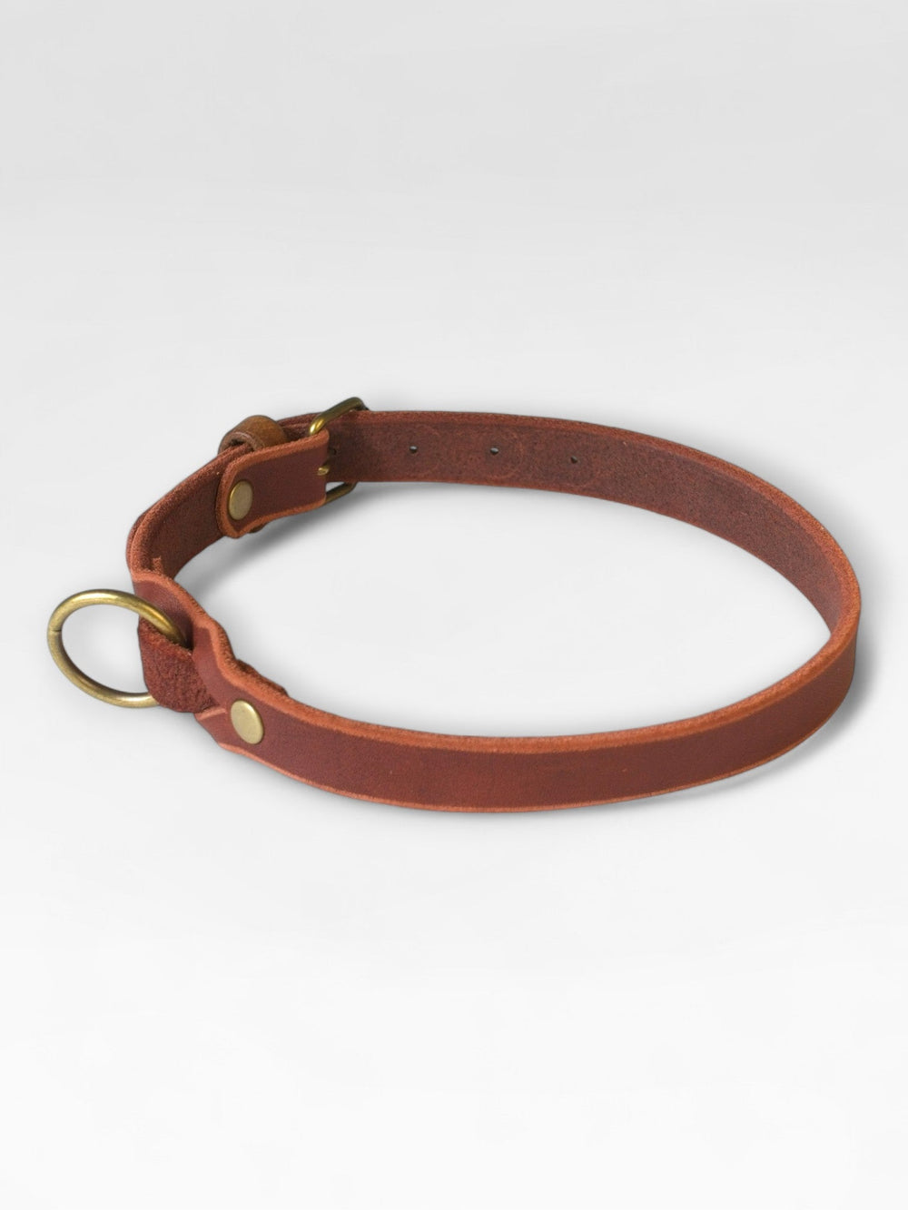 Einfaches Fettlederhalsband - HappyHound