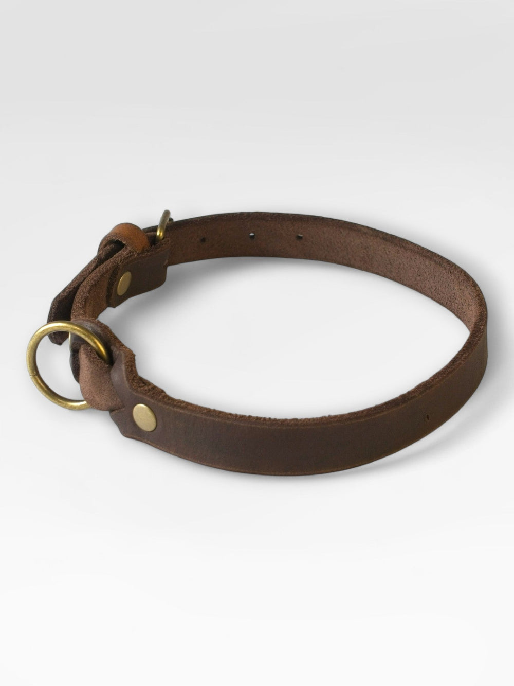 Einfaches Fettlederhalsband - HappyHound