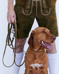 Einfaches Halsband nach Maß + Verstellbare Leine 15mm + Gratis Kotbeutelspender - HappyHound