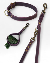 Einfaches Halsband nach Maß + Verstellbare Leine 15mm + Gratis Kotbeutelspender - HappyHound