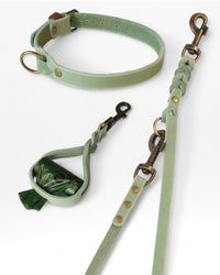 Einfaches Halsband nach Maß + Verstellbare Leine 15mm + Gratis Kotbeutelspender - HappyHound