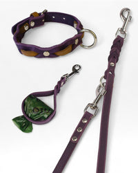 Komplettset nach Maß - HappyHound