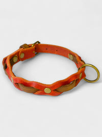 Zweifarbig geflochtenes Fettleder - Halsband - HappyHound