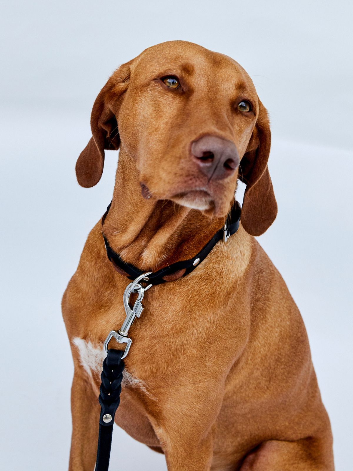 Zweifarbig geflochtenes Fettleder - Halsband - HappyHound