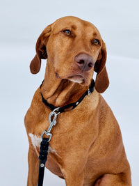 Zweifarbig geflochtenes Fettleder - Halsband - HappyHound