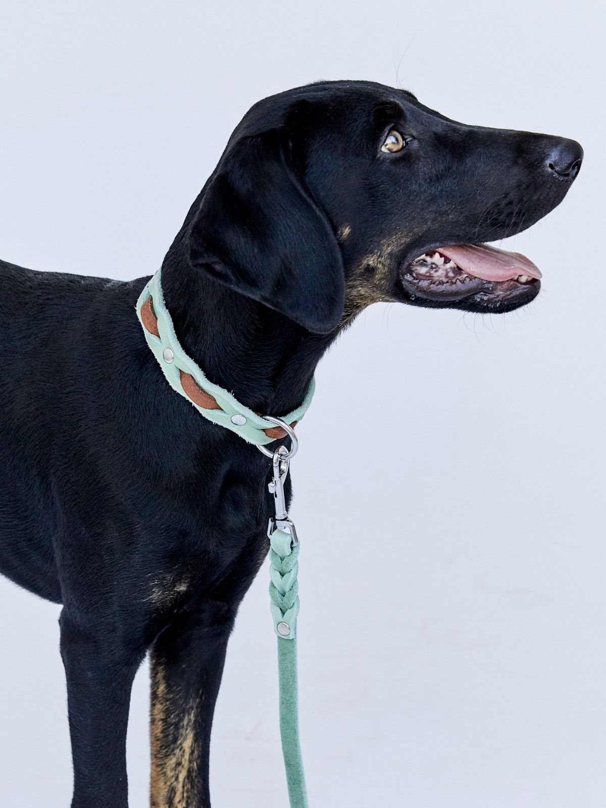 Zweifarbig geflochtenes Fettleder - Halsband - HappyHound